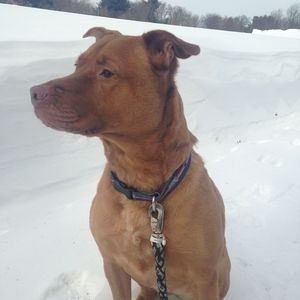 Meet your Posher, Trisha